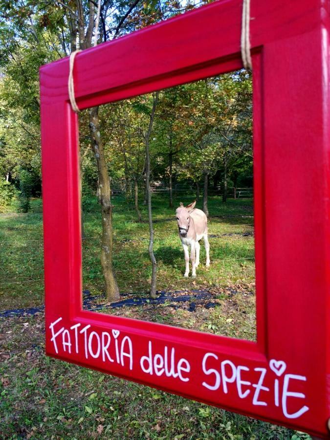 Appartement Agriturismo Le Spezie Conegliano